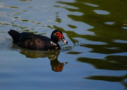 MS_ATL_006 Stock Photos