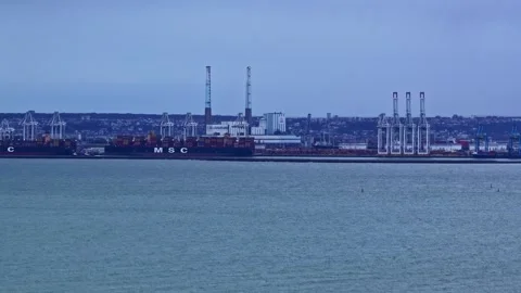 MSC container ship berthed at a busy commercial port with tall gantry cranes at Vídeos de archivo 336187227