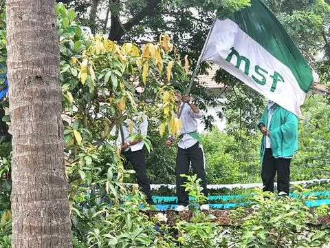 Msf students waving flags Stock-Fotos