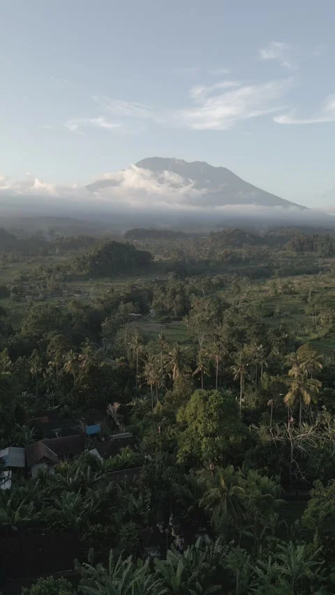 Mt. Agung rice fields Sidemen Vertical -ungraded 스톡 동영상 201064444