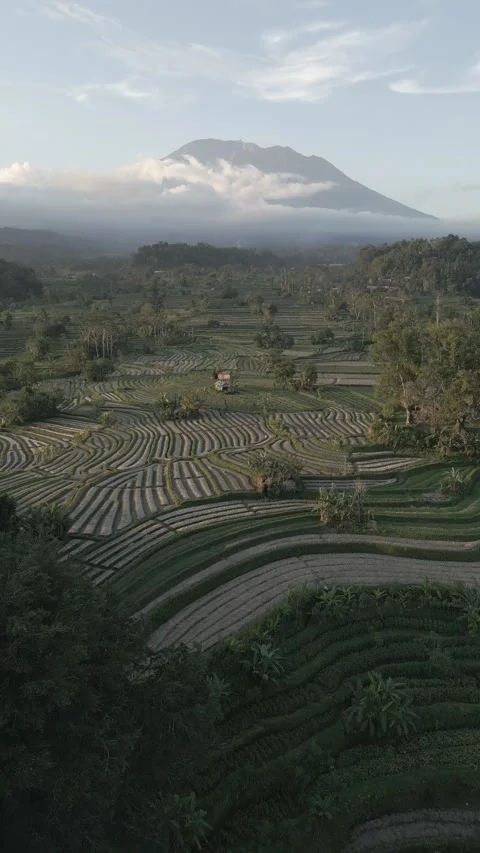 Mt. Agung rice fields Sidemen 2 -ungraded 스톡 동영상 201064445