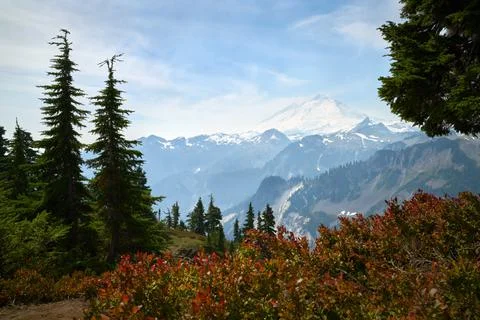 Mt Baker Whatcom County Washington USA 스톡 사진