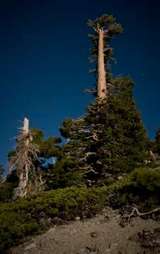 Mt baldy, devil's backbone, angeles national forest Stock Photos