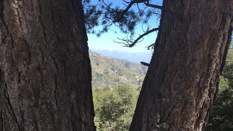 Mt Baldy from Red Box Trailhead - Angeles Crest Spring Stock Footage 74111370
