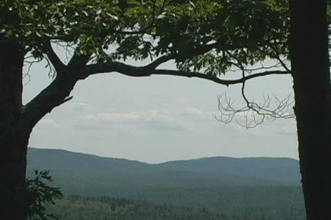 Mt Blue 99 Video stock 502125