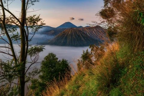 Mt Bromo and cloud carpet at sunrise, Indonesia Stock Photos