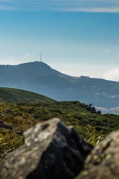 Mt Cargill from Flagstaff loop track in portrait perspective Stock Photos