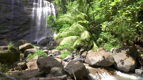 Mt Carmel Falls 01 | Grenada | Caribbean Sea | Waterfall | 4K Footage Stock Footage 236647101