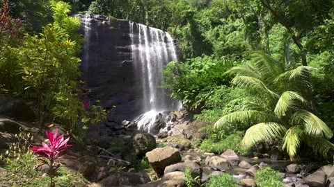 Mt Carmel Falls 02 | Grenada | Caribbean Sea | Waterfall | 4K Footage Stock Footage 237482165