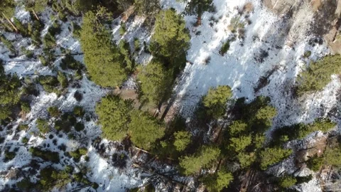 Mt. Charleston Nevada Stock Footage 154653343