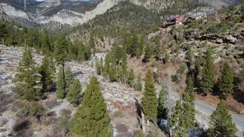 Mt. Charleston Nevada Stock Footage 154653470