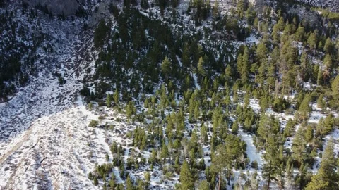 Mt. Charleston Nevada Stock Footage 154653585