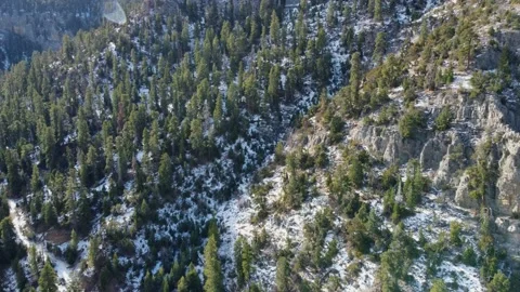 Mt. Charleston Nevada Stock Footage 154653855