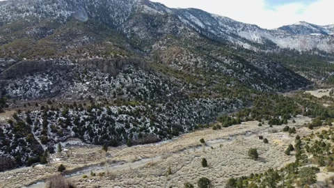 Mt. Charleston Nevada Stock Footage 154655436