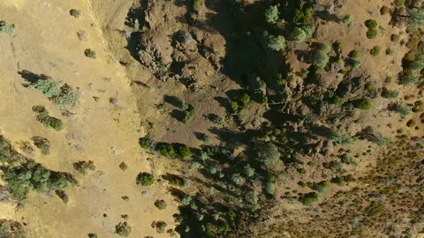 Mt. Diablo California Drone Flight Following Car During Summer Stock Footage