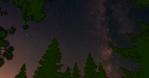 Mt Emily Milky Way pine tree Timelapse with nightscape audio Stock Footage 211789330