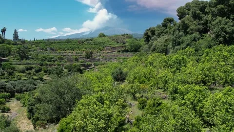 Mt. Etna Volcano in Sicily in spring, Italy Stock Footage 312025057
