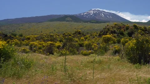 Mt. Etna Volcano in Sicily in spring, Italy Stock Footage 312025084