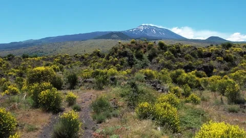 Mt. Etna Volcano in Sicily in spring, Italy Stock Footage 312025093