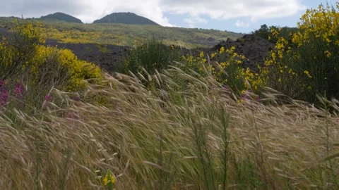 Mt. Etna Volcano in Sicily in spring, Italy Stock Footage 312025176