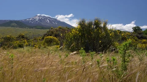 Mt. Etna Volcano in Sicily in spring, Italy Stock Footage 312025323