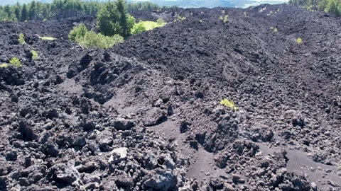 Mt. Etna Volcano in Sicily in spring, Italy Stock Footage 312025343