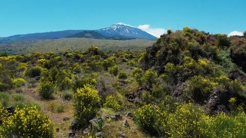Mt. Etna Volcano in Sicily in spring, Italy Stock Footage 312025581
