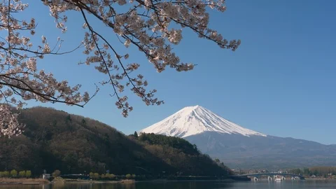 Mt. Fuji and Cherry Blossoms at Lake Kawaguchi (panning) 스톡 동영상 123669293