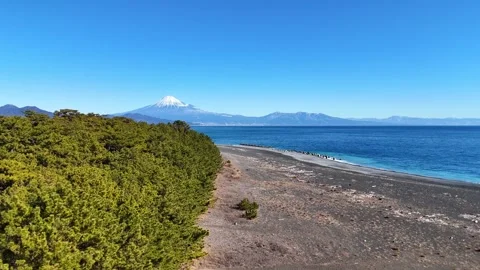 Mt Fuji and Pine Grove Aerial│Iconic Miho No Matsubara Landscape Vidéo 329064309