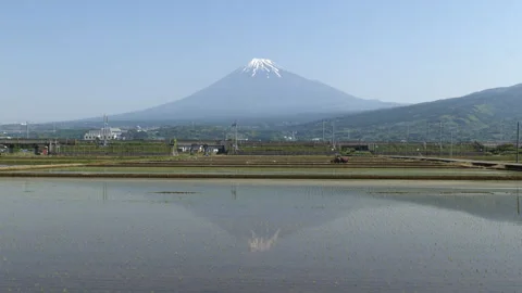 Mt. Fuji and Shinkansen with Tractor and Rice Paddies (Time Lapse | ZOOM OUT) Stock Footage 338095027