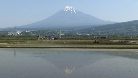 Mt. Fuji and Shinkansen with Tractor and Rice Paddies (Time Lapse | STATIC) Stock Footage 338095079