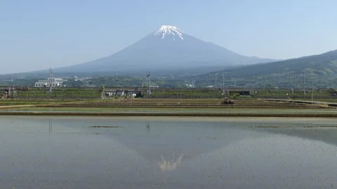 Mt. Fuji and Shinkansen with Tractor and Rice Paddies (Time Lapse | ZOOM IN) Stock Footage 338095096