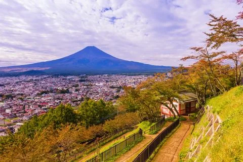 Mt. Fuji between cloud with red leaf in the spring on daytime in Fujiyoshida Stock Photos