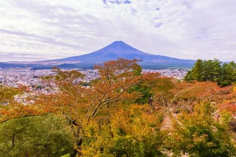 Mt. Fuji between cloud with red leaf in the spring on daytime in Fujiyoshida Stock Photos