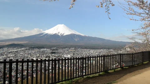Mt. Fuji with cherry blossom Video stock 39159243