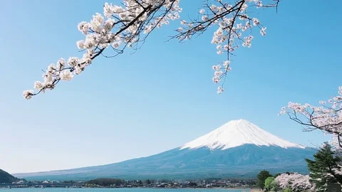 Mt. Fuji with cherry blossom Vídeos de archivo 81286017