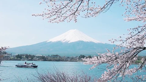 Mt. Fuji with cherry blossom Stockbeeldmateriaal 81286364