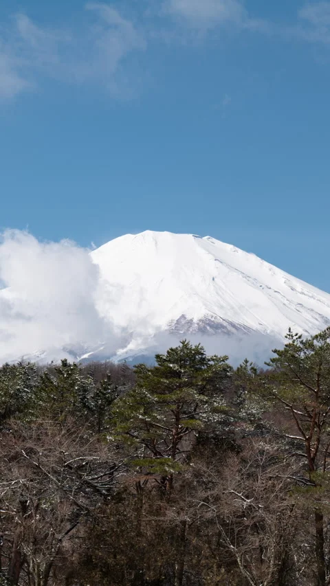 Mt. Fuji Emerging from Clouds after the Snow (Vertical Timelapse) 스톡 동영상 303908749