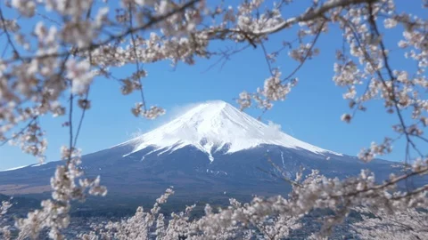 Mt. Fuji Framed by Cherry Blossoms (zoom out) 스톡 동영상 106662520