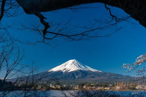 Mt. Fuji at kawaguchiko Fujiyoshida, Japan. Stock Photos