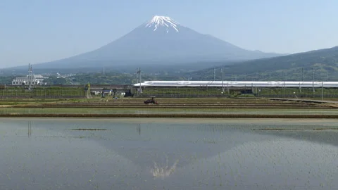 Mt. Fuji Reflected in Rice Paddies w/ Shinkansen Trains (Realtime/Panning) Stock Footage 337700434