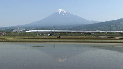 Mt. Fuji Reflected in  Rice Paddies w/ Shinkansen Trains (Realtime/ZOOM IN) Stock Footage 337700605