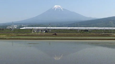 Mt. Fuji Reflected in  Rice Paddies w/ Shinkansen Bullet Trains (Realtime/Static Stock Footage 337700626