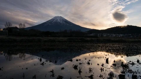 Mt. Fuji Reflected in a Water Filled Rice Field Stock Footage 86202436