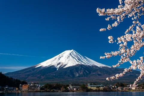 Mt. Fuji in the spring time with cherry blossoms at kawaguchiko Fujiyoshida,  Stock Photos