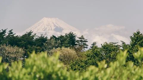 Mt fuji view Stock Photos