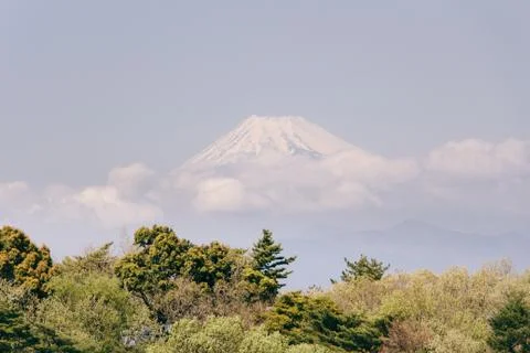 Mt fuji view Stock Photos