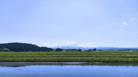 Mt. Gassan and rice fields filled with water, spring scenery in tohoku Japan Stock Footage 301413612