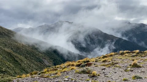 Mt Holdsworth Alpine View 動画素材 170623845