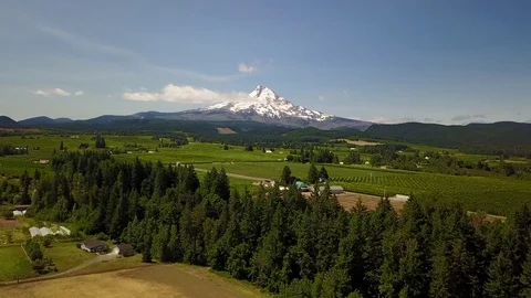 Mt Hood meadow flyover 库存影片 79605611